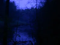 DSCN0524.webp