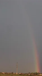 DSC00798_2.webp