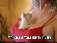 mozhna_1269763255.webp