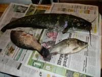 DSCN0159.webp