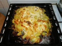 DSCN0168.webp