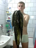 19052011171.webp