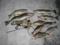 IMG_1111111.webp
