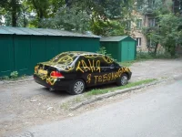 auto-001.webp
