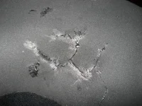 DSCN0624.webp