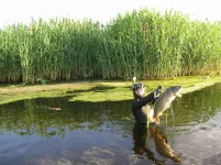 DSCN4598.webp