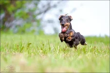 110602_1612web.webp
