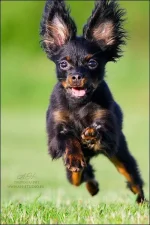 110602_2200web.webp