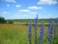 S7004340.webp