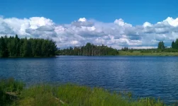 ркека.webp