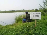 рыпп.webp