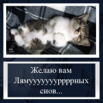 ac87230df5e5.gif