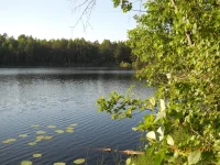 Озеро-07.2011.webp