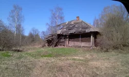 IMAG0126.webp