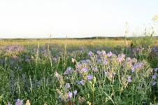 IMG_7210.webp