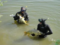 DSC00407.webp