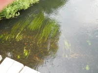 DSCN0721.webp