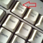8.webp