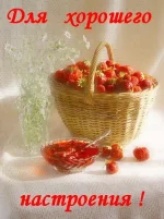 12279444642b1331715231.webp