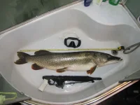 IMG_7253111111111111.webp