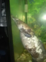 PA300808.webp