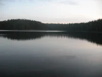 Picture 423.webp
