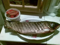 01122009(012).webp