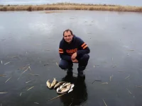 улов.webp