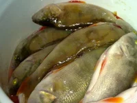 27122009139.webp