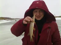 27122009136.webp
