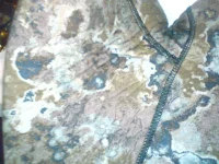 DSC00221.webp