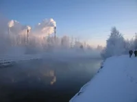 22.webp