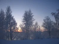 33.webp