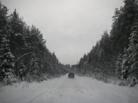 01.webp