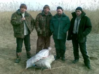 07012010(002).webp