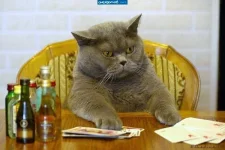 0419_2253_23z.webp