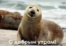 4165512.webp