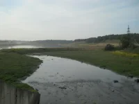DSCN0740.webp