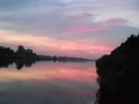 DSCN0761.webp