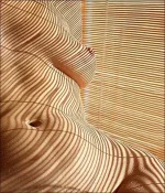 getImage (1).webp