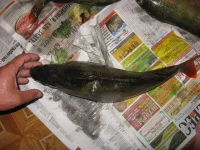 IMG_352433333333.webp