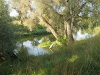 DSCN0781.webp