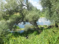 DSCN0787.webp
