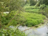 DSCN0795.webp