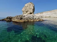 582.webp