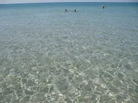clear-sea.webp