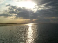 100_3252.webp