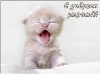 s_dobrym_2.webp