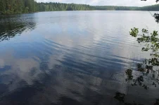 IMG_2713.webp
