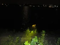 DSC02304.webp